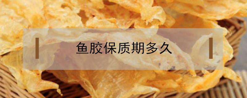 鱼胶保质期多久（即食鱼胶保质期多久）