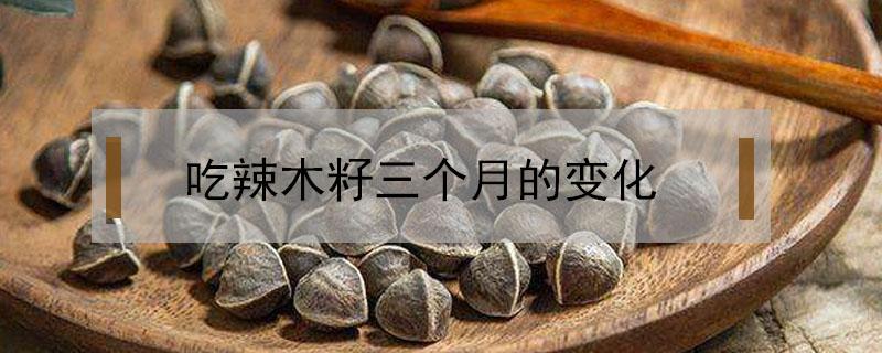 吃辣木籽三个月的变化（吃一个月辣木籽的效果）