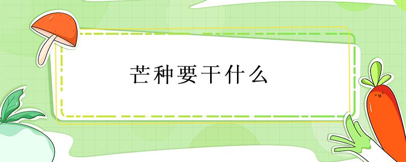芒种要干什么 芒种该干什么