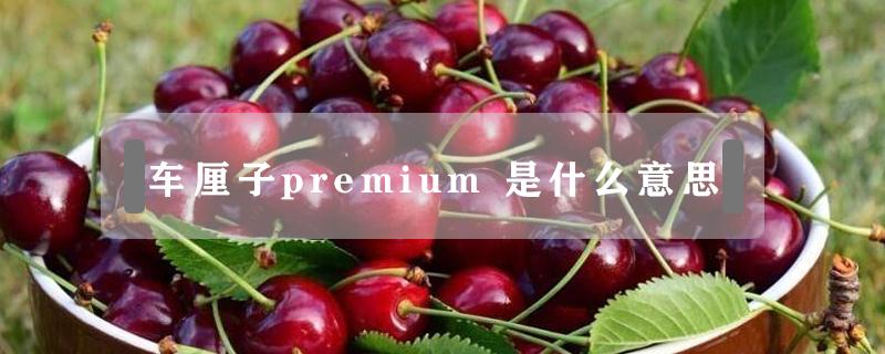 车厘子premium 车厘子premium cherries