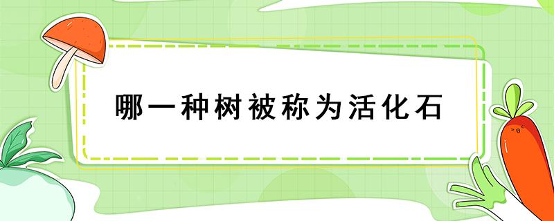 哪一种树被称为活化石（哪一种树被称之为活化石）