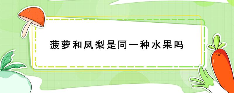 菠萝和凤梨是同一种水果吗（菠萝和凤梨是同一种水果吗?很多人傻傻不清楚）