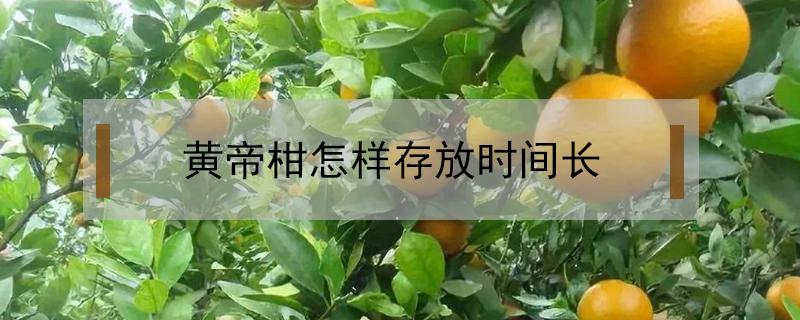 黄帝柑怎样存放时间长 黄帝柑可以放多久