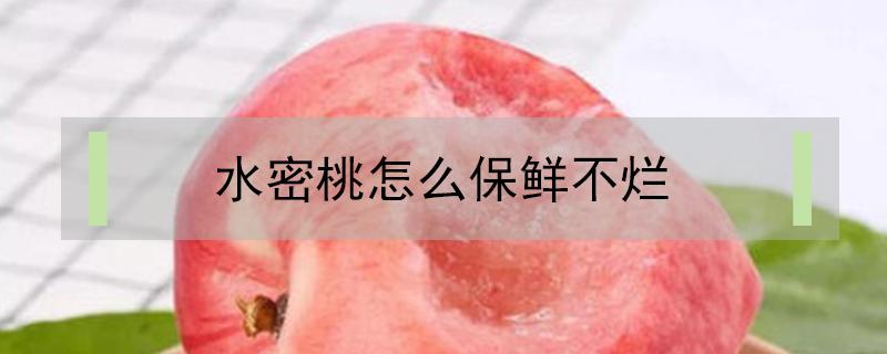 水密桃怎么保鲜不烂（水蜜桃怎样保存新鲜不烂）