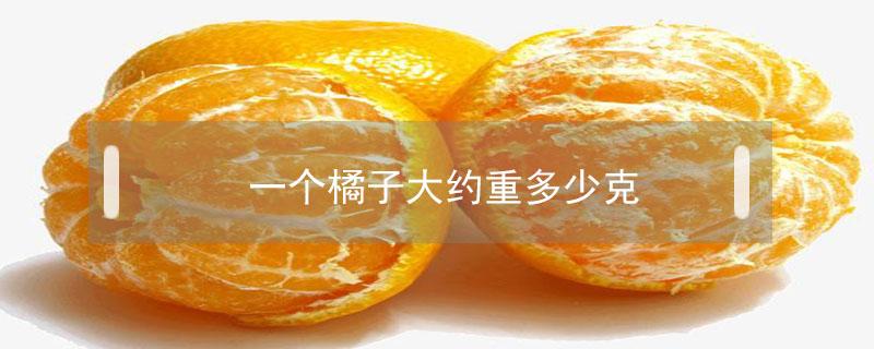 一个橘子大约重多少克 一个橘子的重量是多少克
