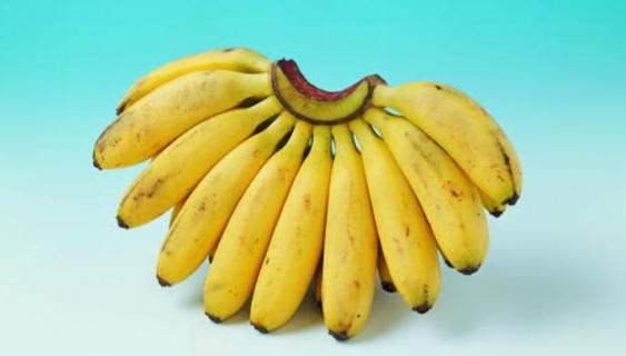糯米蕉和香蕉的区别