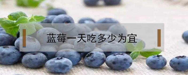 蓝莓一天吃多少为宜（成人吃蓝莓一天吃多少为宜）