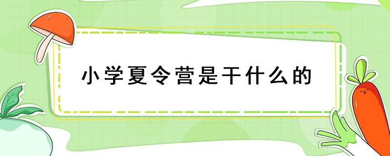 小学夏令营是干什么的（小学生夏令营是什么）