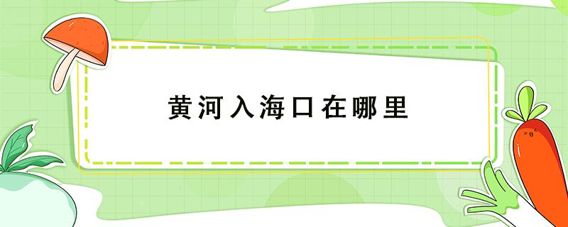 黄河入海口在哪里（黄河入海口在哪里是什么海）