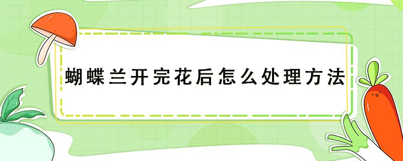 蝴蝶兰开完花后怎么处理方法（蝴蝶兰开完花后怎么处理方法 百度网盘）