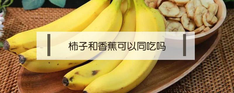 柿子和香蕉可以同吃吗 柿子和香蕉能同吃吗?