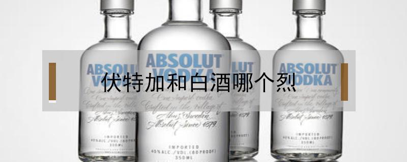 伏特加和白酒哪个烈 伏特加和红酒哪个烈