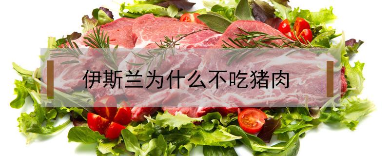 伊斯兰为什么不吃猪肉 伊斯兰教为什么不吃猪肉