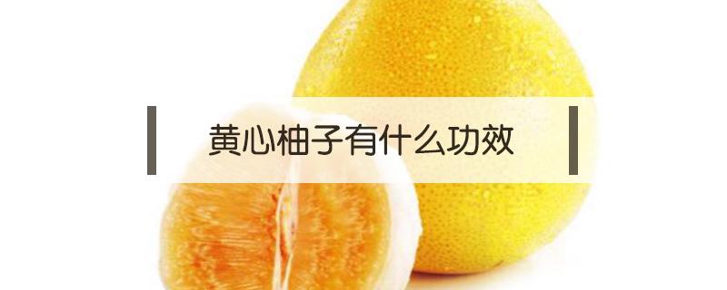 黄心柚子有什么功效 黄心西柚功效和作用