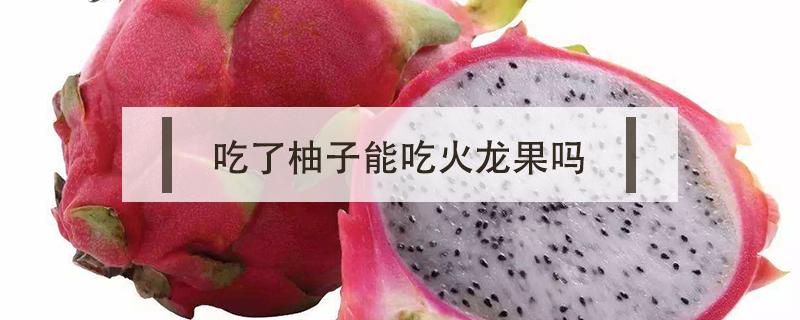 吃了柚子能吃火龙果吗（柚子跟火龙果吃,同时吃会怎么样?）