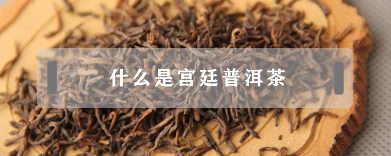 什么是宫廷普洱茶（宫廷普洱茶是什么茶）