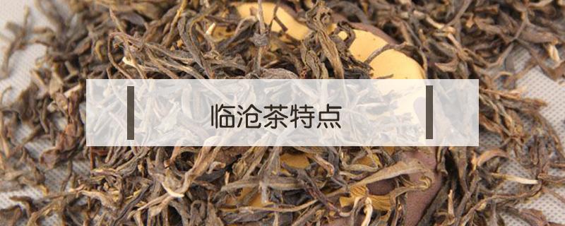 临沧茶特点 临沧茶特点口感