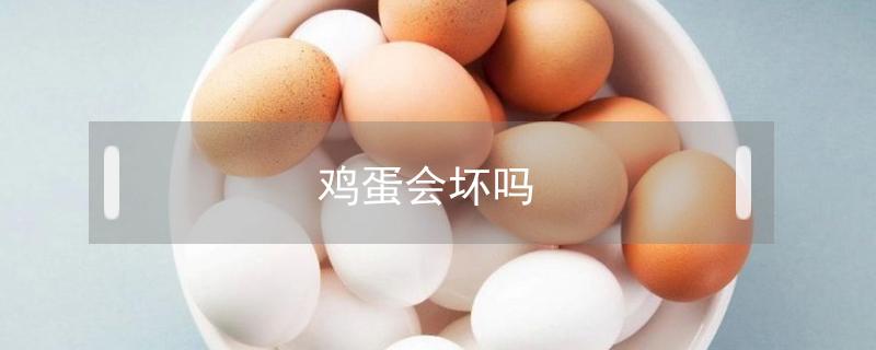 鸡蛋会坏吗