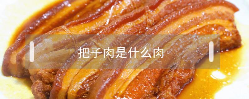 把子肉是什么肉 把子肉是什么肉做的