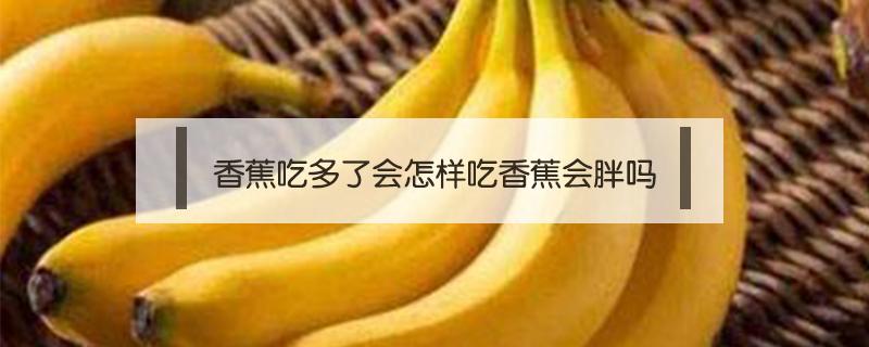 香蕉吃多了会怎样吃香蕉会胖吗（吃香蕉吃多了会长胖吗）