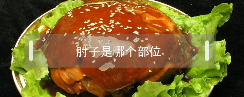肘子是哪个部位 胯胯肘子是哪个部位