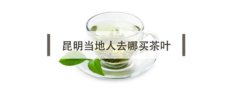 昆明当地人去哪买茶叶（昆明哪里有卖茶叶的地方）