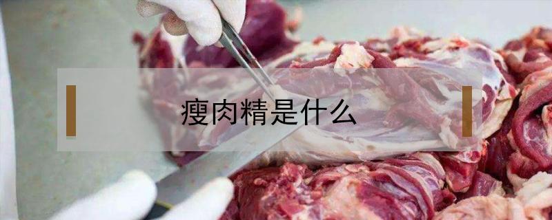 瘦肉精是什么（瘦肉精是什么激素）