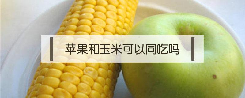 苹果和玉米可以同吃吗（玉米能与苹果一起吃吗）