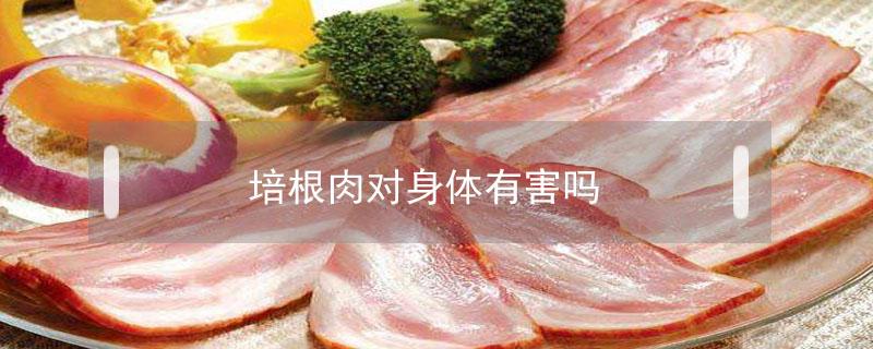 培根肉对身体有害吗（培根肉到底好不好）