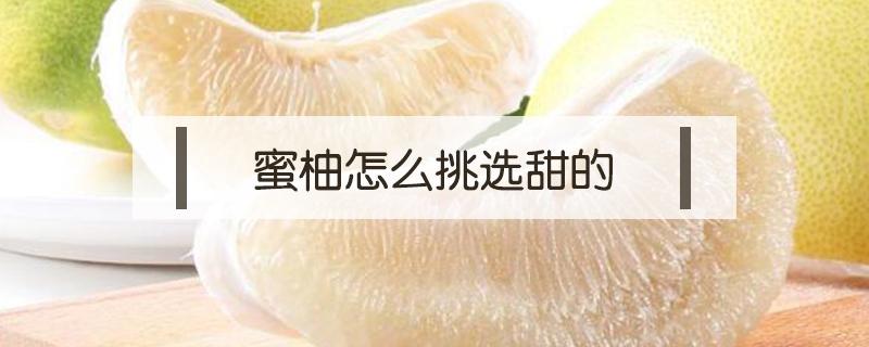 蜜柚怎么挑选甜的（西柚怎么挑选才甜）
