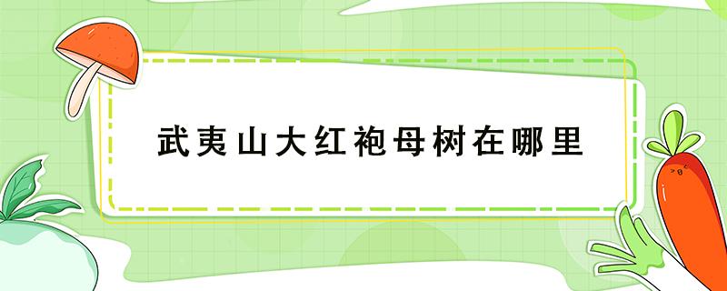 武夷山大红袍母树在哪里 武夷山的大红袍母树