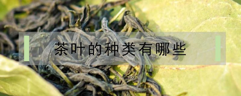 茶叶的种类有哪些 唐代茶叶的种类有哪些