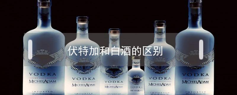 伏特加和白酒的区别（伏特加和白酒的区别是什么）