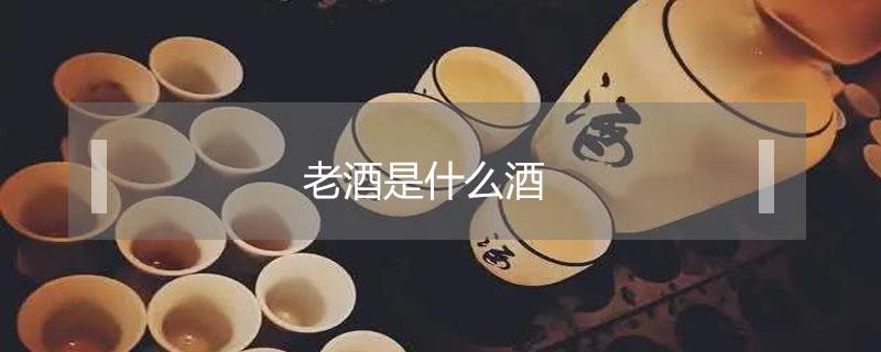 老酒是什么酒（马洪老酒是什么酒）