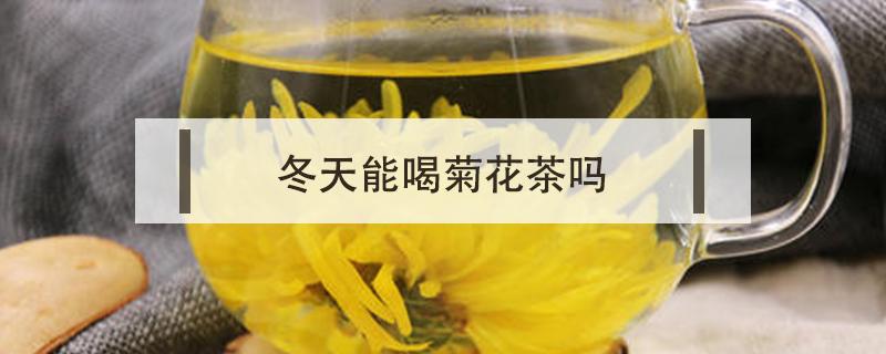冬天能喝菊花茶吗 冬天可以喝菊花茶吗?