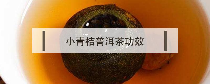 小青桔普洱茶功效（小青柑普洱茶的功效）