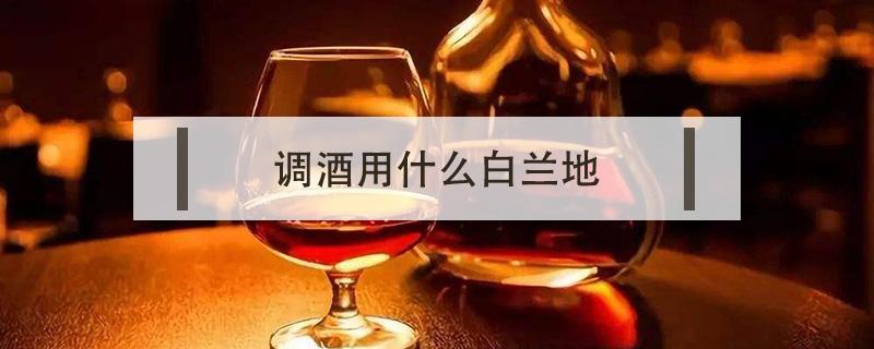 调酒用什么白兰地