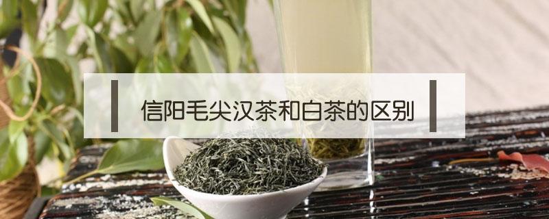 信阳毛尖汉茶和白茶的区别 信阳毛尖白露茶和春茶的区别