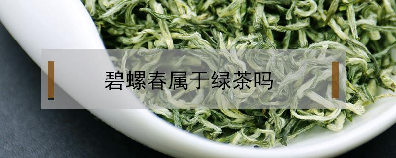 碧螺春属于绿茶吗 碧螺春属于绿茶吗功效和作用是什么