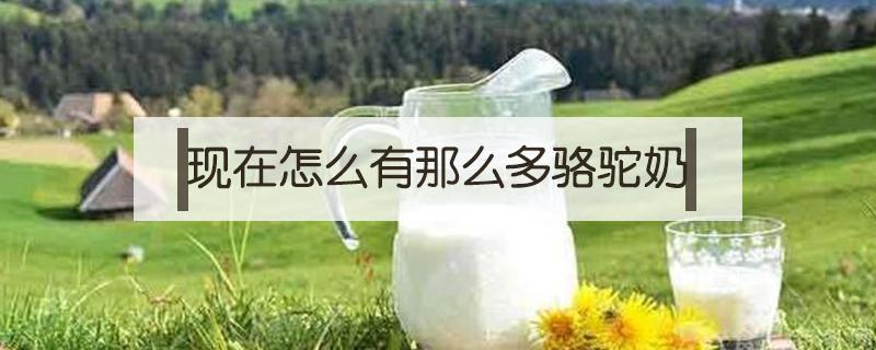 现在怎么有那么多骆驼奶（骆驼奶是真的吗?真的有那么多骆驼产奶吗?）