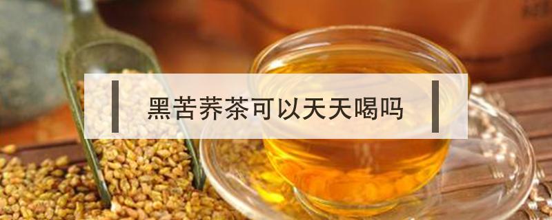 黑苦荞茶可以天天喝吗 苦荞黑苦荞茶可以天天喝吗