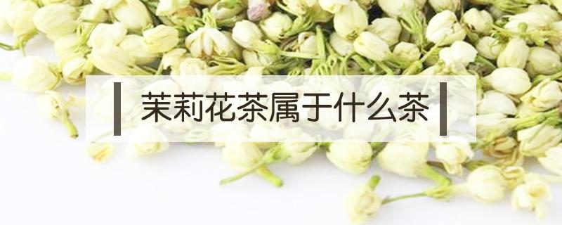 茉莉花茶属于什么茶