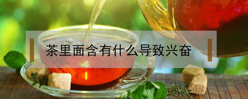茶里面含有什么导致兴奋 茶里含的兴奋物质