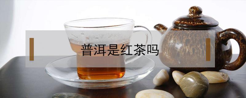 普洱是红茶吗