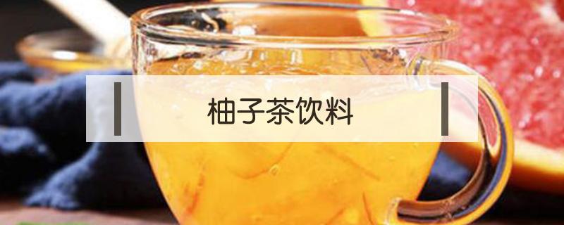 柚子茶饮料 道地蜂蜜柚子茶饮料