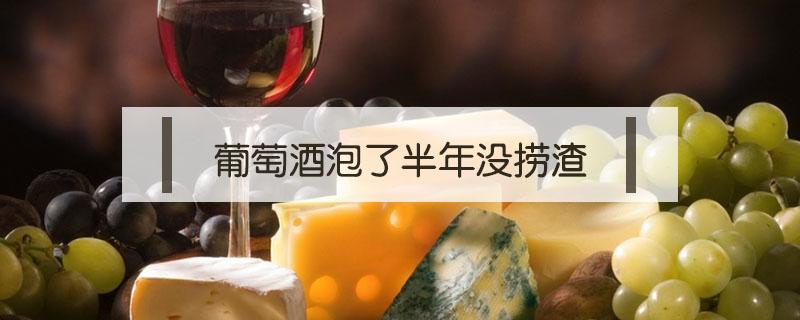 葡萄酒泡了半年没捞渣 葡萄酒不捞渣可以吗