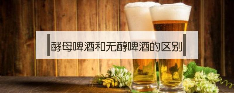 酵母啤酒和无醇啤酒的区别 啤酒含酵母与不含酵母的区别