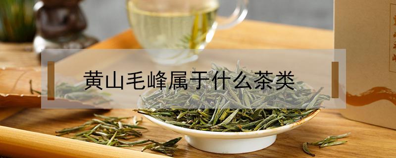 黄山毛峰属于什么茶类 黄山毛峰属于什么茶类?能存放吗