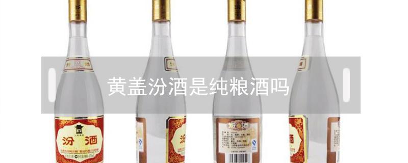 黄盖汾酒是纯粮酒吗（黄盖玻汾是粮食酒吗）