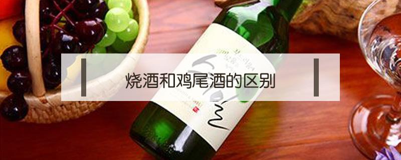 烧酒和鸡尾酒的区别 鸡尾酒和什么